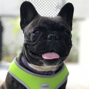 Meet your Posher, Jamie